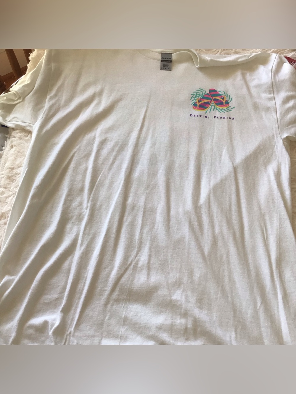 NWOT Gildan Destin FL Graphic T-shirt